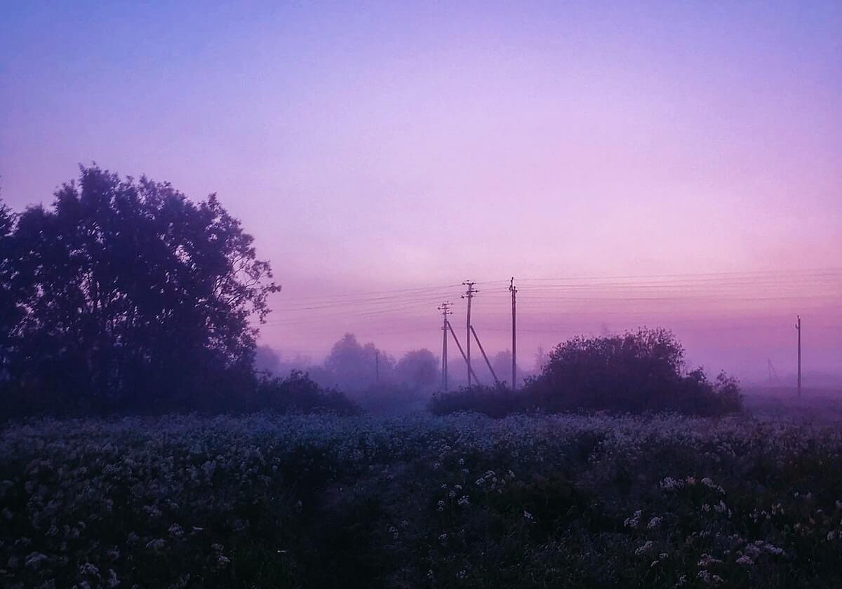 im电竞：热血成长的全场景体验